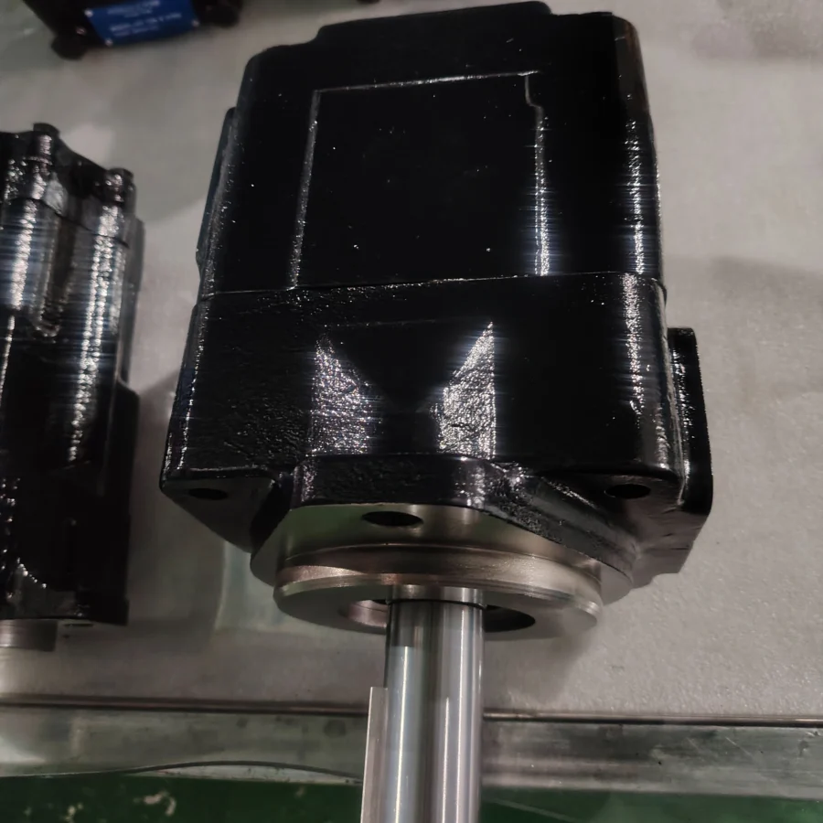 T6D T6ED T6EC T6DC T6DCC Series Hydraulic Vane Pump T6E-066-1L00-A1 T6E-066-1L00-A1 T6E-066-1L00-A1 T6E-066-1L00-A1