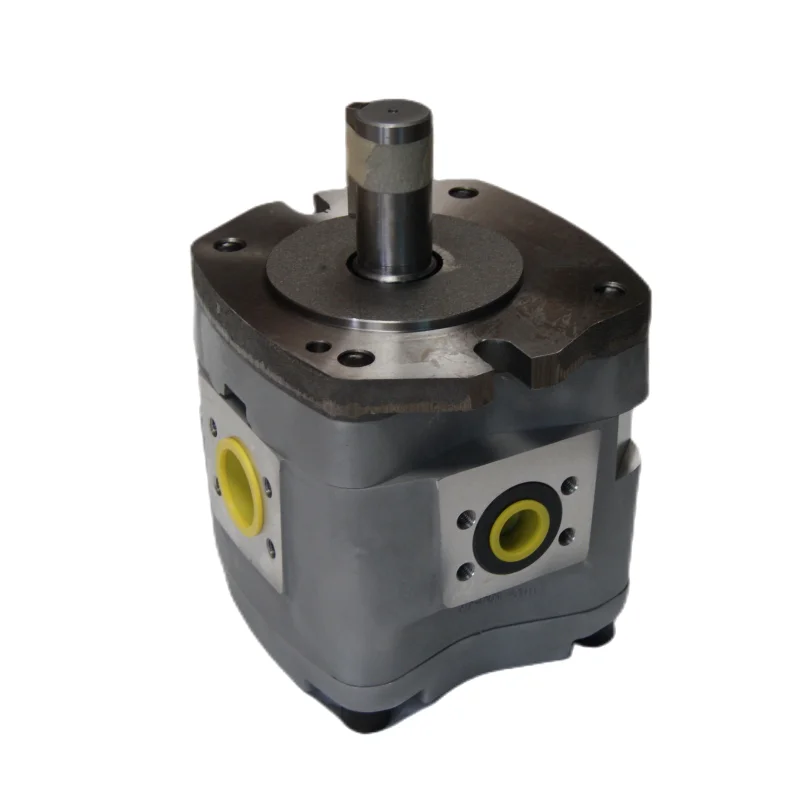 IPH Series IPH-6B-80-11 IPH-6B-100-11 IPH-6B-125-11 IPH-2B-8-11 High Pressure Hydraulic Gear Pump IPH-5A-50-EL-21