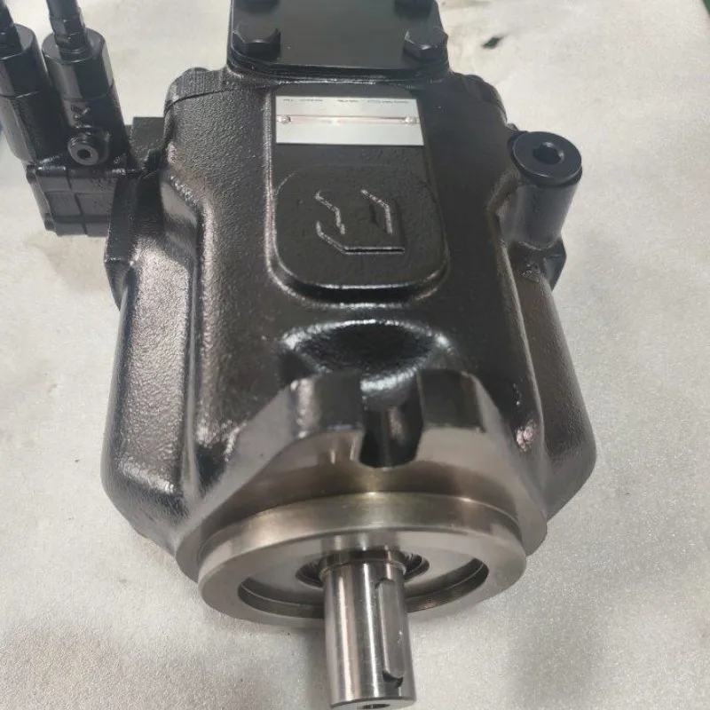 PVPC Series Hydraulic Pump PVPCL-5073/1D PVPC-LW-5073/1D PVPC-L-4046/1D Piston Pump