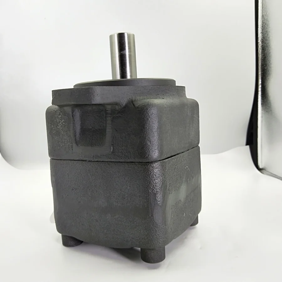 PV2R Oil Vane Pump PV2R2-41-F-RAA-41 PV2R2-47-F-RAA-41 Hydraulic Pump PV2R4-125-F-RAA-30 PV2R12-6-65-F-REAA-43
