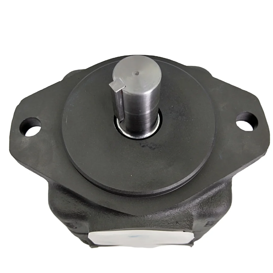 Hydraulic Vane Pump PV2R2-41-F-RAA-41 PV2R2-47-F-RAA-41  PV2R23-41-76-L-REAB PV2R1-6 PV2R1-8 PV2R12-31-47-F-REAA-4326