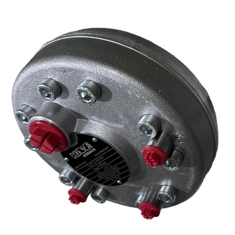 Hawe R Series Hydraulic Pump R0.41-0.41-0.41A R38.0 R3.6A R5.1A R4.3A R3.6 R0.92 Piston Pump