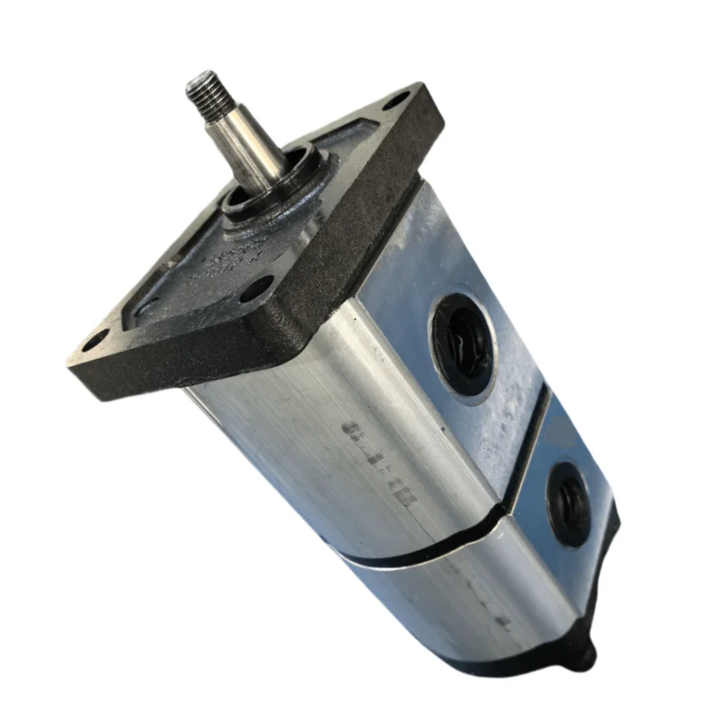 SNP SEM  Series SNP3NN/033LN07SAP1A4A3NNNN/NNNNN SNP3NN SNW SNP SKP SGM2 Hydraulic Gear Pump