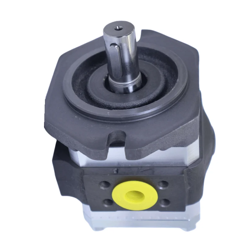 PGI PGI101 PGI102 PGI103 Series Hydraulic Servo Gear Pump PGI102-2-011-RK03-11-612 PGI102-2-019RK03-11-6100