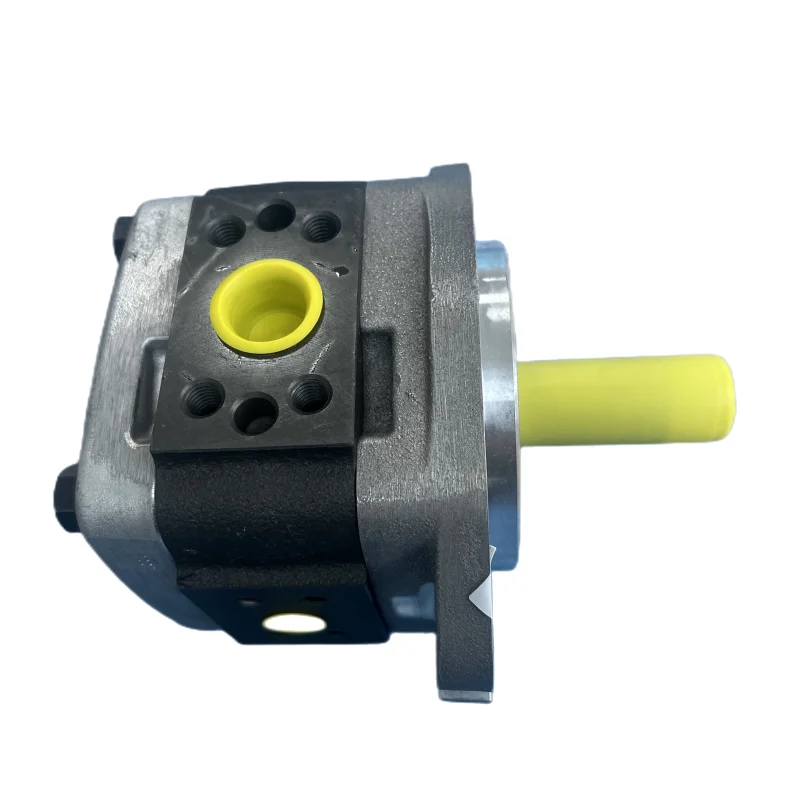 IPVP IPV 5-50 101 IPV 73-78 IPV4 16 IPV5 32 IPV6 80 101 IPV6 100 101 Hydraulic Gear Pump