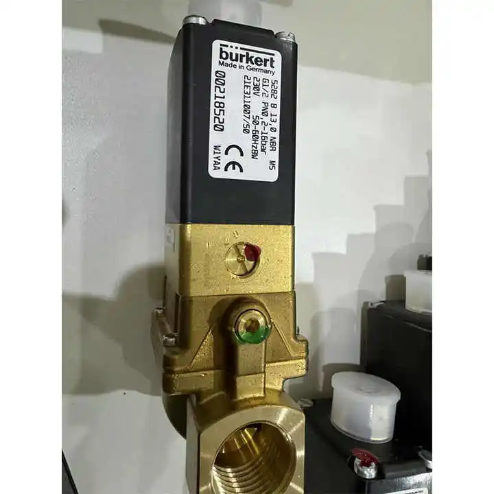 Germany Original Burkert 95102225 00218520 00077247 95181733 G1/4" 220V Solenoid Valve  00218520 00077247 95181733