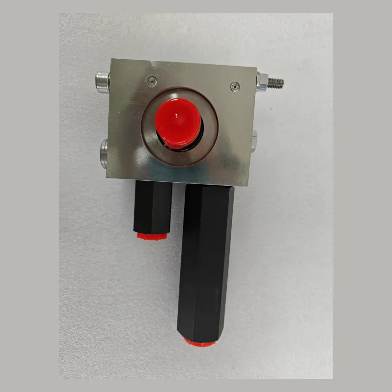 Load-holding Valve LHDV33P-15-P6-400/440 LHDV33P-15-L6-360/380 Hydraulic Valve LHDV33P-15-L6-400/440